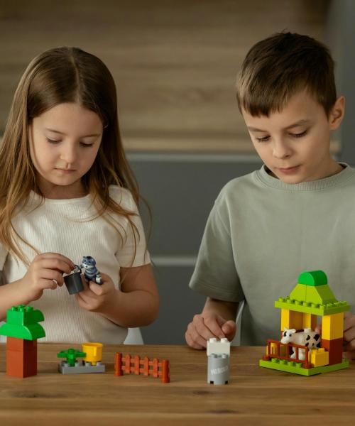 Accès Mini-Village et Canopée